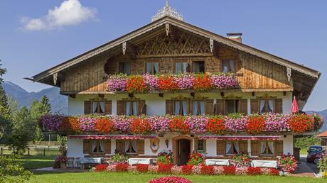 Bayerische Pflanzen des Jahres