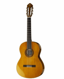 Top-Seller Gitarren und Bässe – Die beliebtesten Modelle 2025