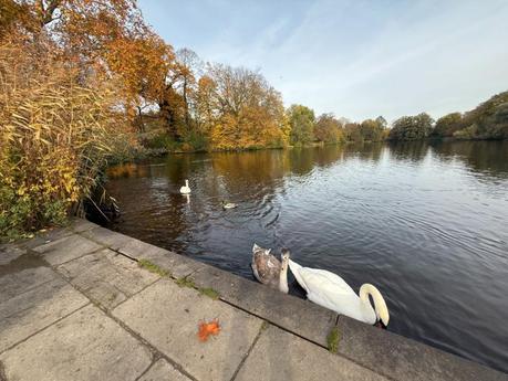 Schloss Charlottenburg 