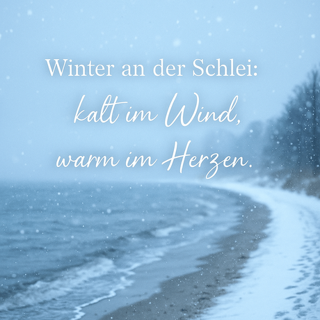 Winterküsse im kleinen Hotel an der Schlei von Jule Hansen