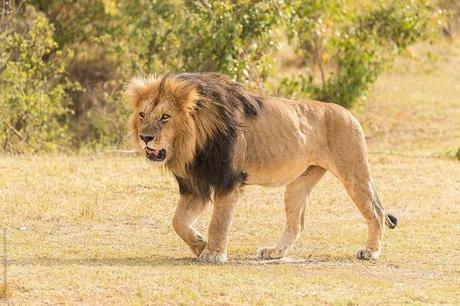 Black Friday Reiseangebote & Deals 2025 hier entdecken