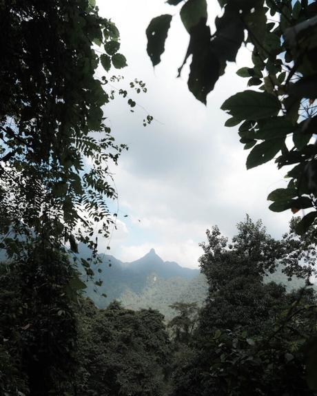 Berggipfel, umrahmt von dichtem grünem Laub, mit bewölktem Himmel darüber.