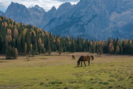 Italien entdecken: Von den Alpen bis Sizilien – die schönsten Reiseziele im Überblick