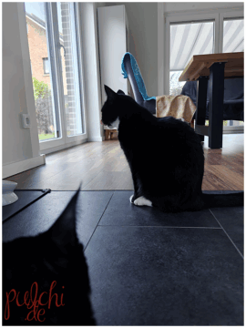 [Session-Life] „Picture my Day“ Day #2025 ~ September