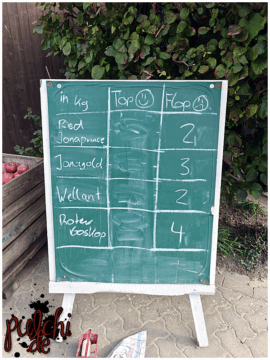 [Session-Life] „Picture my Day“ Day #2025 ~ September