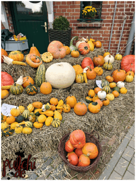 [Session-Life] „Picture my Day“ Day #2025 ~ September