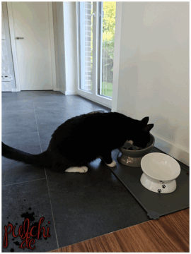 [Session-Life] „Picture my Day“ Day #2025 ~ September