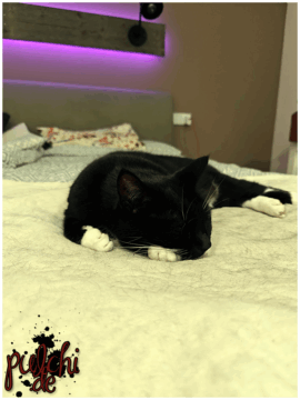 [Session-Life] „Picture my Day“ Day #2025 ~ September