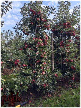 [Session-Life] „Picture my Day“ Day #2025 ~ September