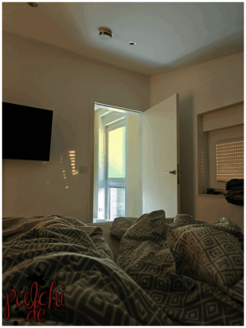 [Session-Life] „Picture my Day“ Day #2025 ~ September