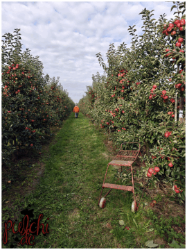 [Session-Life] „Picture my Day“ Day #2025 ~ September