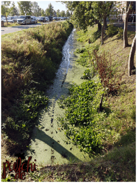 [Session-Life] „Picture my Day“ Day #2025 ~ September