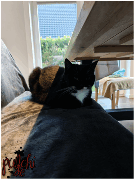 [Session-Life] „Picture my Day“ Day #2025 ~ September