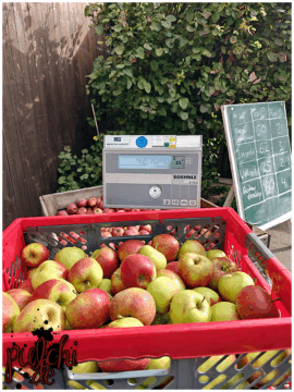 [Session-Life] „Picture my Day“ Day #2025 ~ September