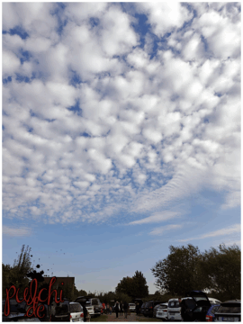 [Session-Life] „Picture my Day“ Day #2025 ~ September