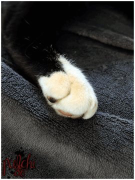 [Session-Life] „Picture my Day“ Day #2025 ~ September