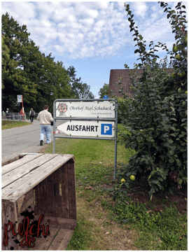 [Session-Life] „Picture my Day“ Day #2025 ~ September