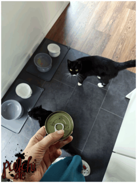 [Session-Life] „Picture my Day“ Day #2025 ~ September