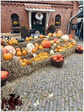 [Session-Life] „Picture my Day“ Day #2025 ~ September