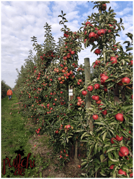 [Session-Life] „Picture my Day“ Day #2025 ~ September