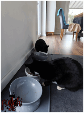 [Session-Life] „Picture my Day“ Day #2025 ~ September