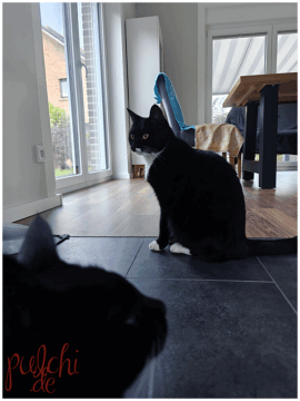 [Session-Life] „Picture my Day“ Day #2025 ~ September