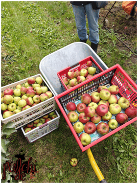 [Session-Life] „Picture my Day“ Day #2025 ~ September