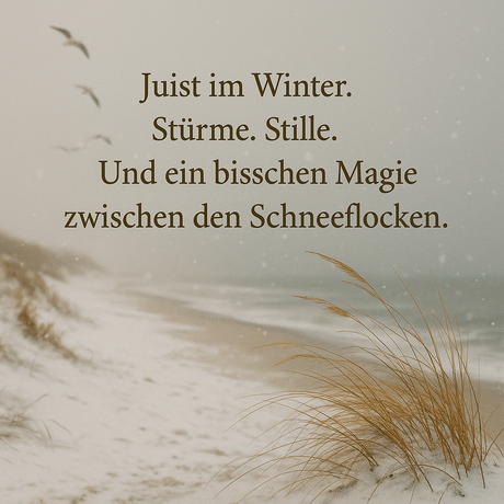 Ein Café am Ende der Saison: Winter auf Juist von Cara Lindon