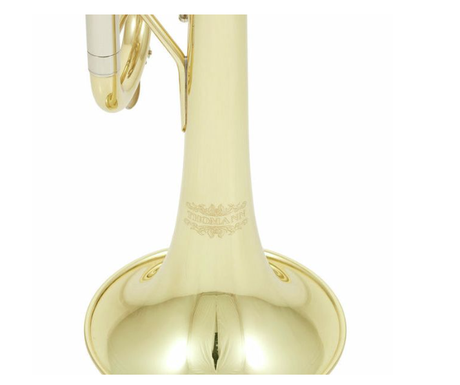 Thomann TR 200 Bb-Trompete Set 1 – Einsteiger-Trompete