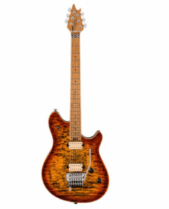 EVH Frankie Striped MN Relic – E-Gitarre für Rockfans