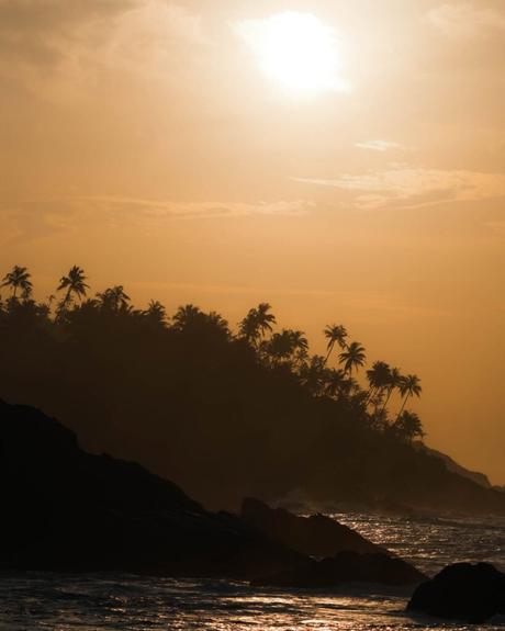 Silhouettierte Palmen an einer felsigen Küste bei Sonnenuntergang mit goldenem Sonnenlicht über dem Meer.