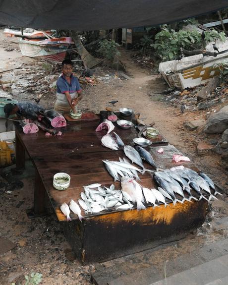 Eine Person steht hinter einem Holztisch, auf dem verschiedene Fische an einem Marktstand ausgestellt sind.