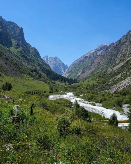 Ein Bergtal mit einem Fluss, grüner Vegetation, Wildblumen und fernen Berggipfeln unter einem strahlend blauen Himmel.