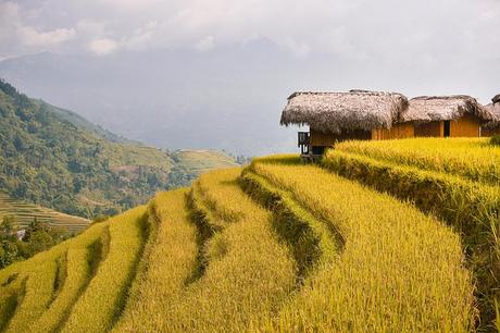 Ha Giang Loop – Das unvergessliche Abenteuer im Norden Vietnams