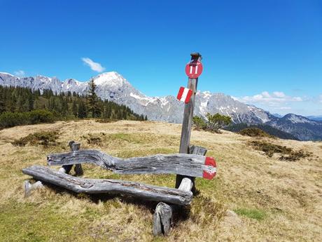 Blau, Rot, Schwarz oder T1-T6? Die Schwierigkeitsgrade von Wanderwegen