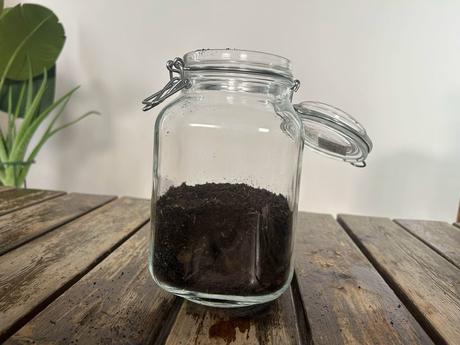 Flaschengarten selber machen: In 9 Schritten zum ewigen Garten im Glas
