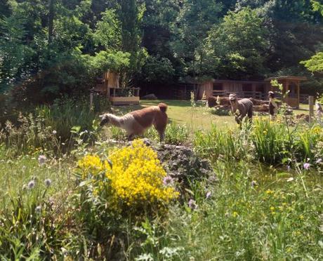 Tierpark Hellabrunn
