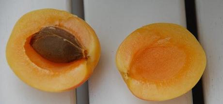 Apricot meets water - Aprikosen im Wasser