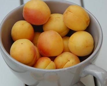 Apricot meets water - Aprikosen im Wasser