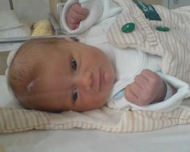 Texternachwuchs der besonderen Art