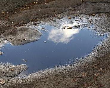 10 Dinge – August 2011