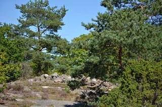 Der Naturpfad in Välen, einer Göteborger Bucht