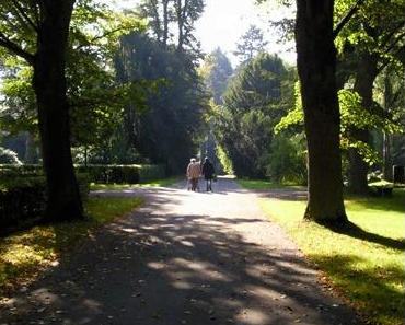 Die Mutter von Armdeutschland