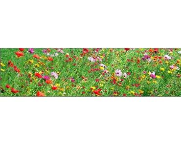 Laufen, einfach nur laufen, loslaufen…