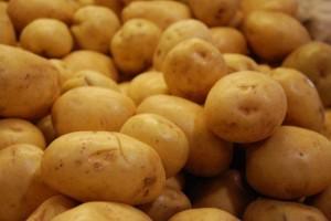 “Das Leben” zum Thema Kartoffelbau
