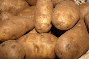 “Das Leben” zum Thema Kartoffelbau