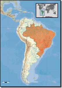 419px-South_America_location_BRA[1]