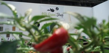 Lilli Green Shop @ expeditionen in ästhetik & nachhaltigkeit