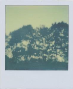 Impossible PX 70 Color Shade First Flush – so langsam wird’s