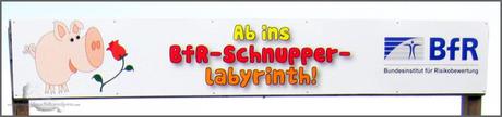 Schnupper-Labyrinth Berlin Marienfelde